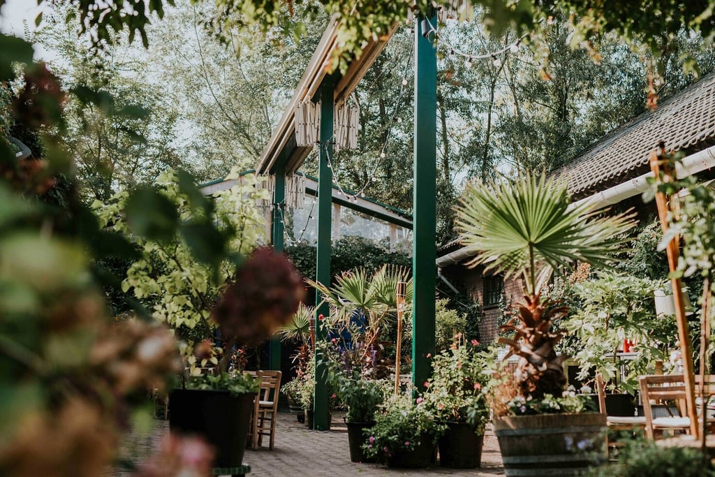 Binnentuin met planten