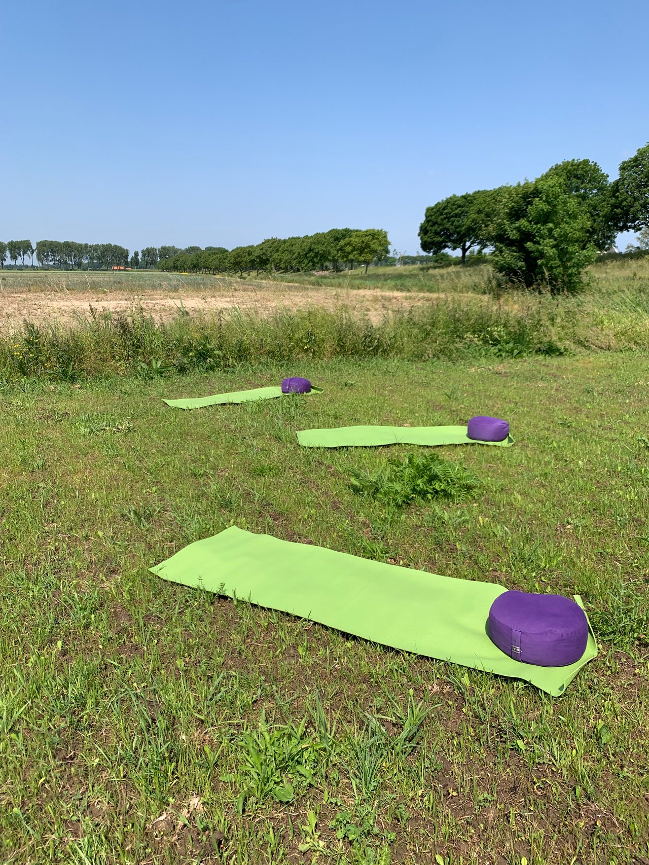 Yogales buiten in de Weelde Natuur