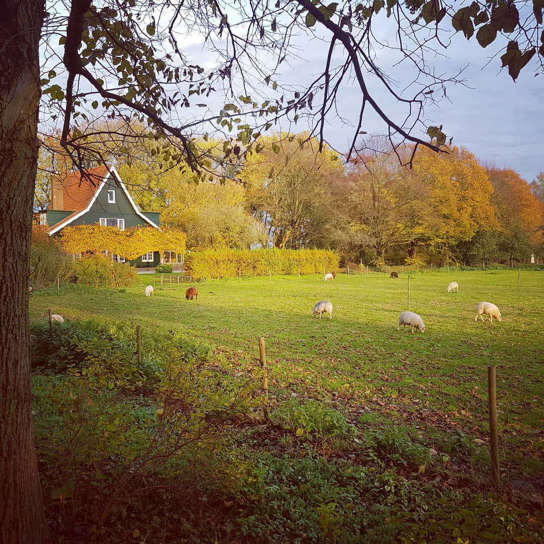 De groene villa in de herfst